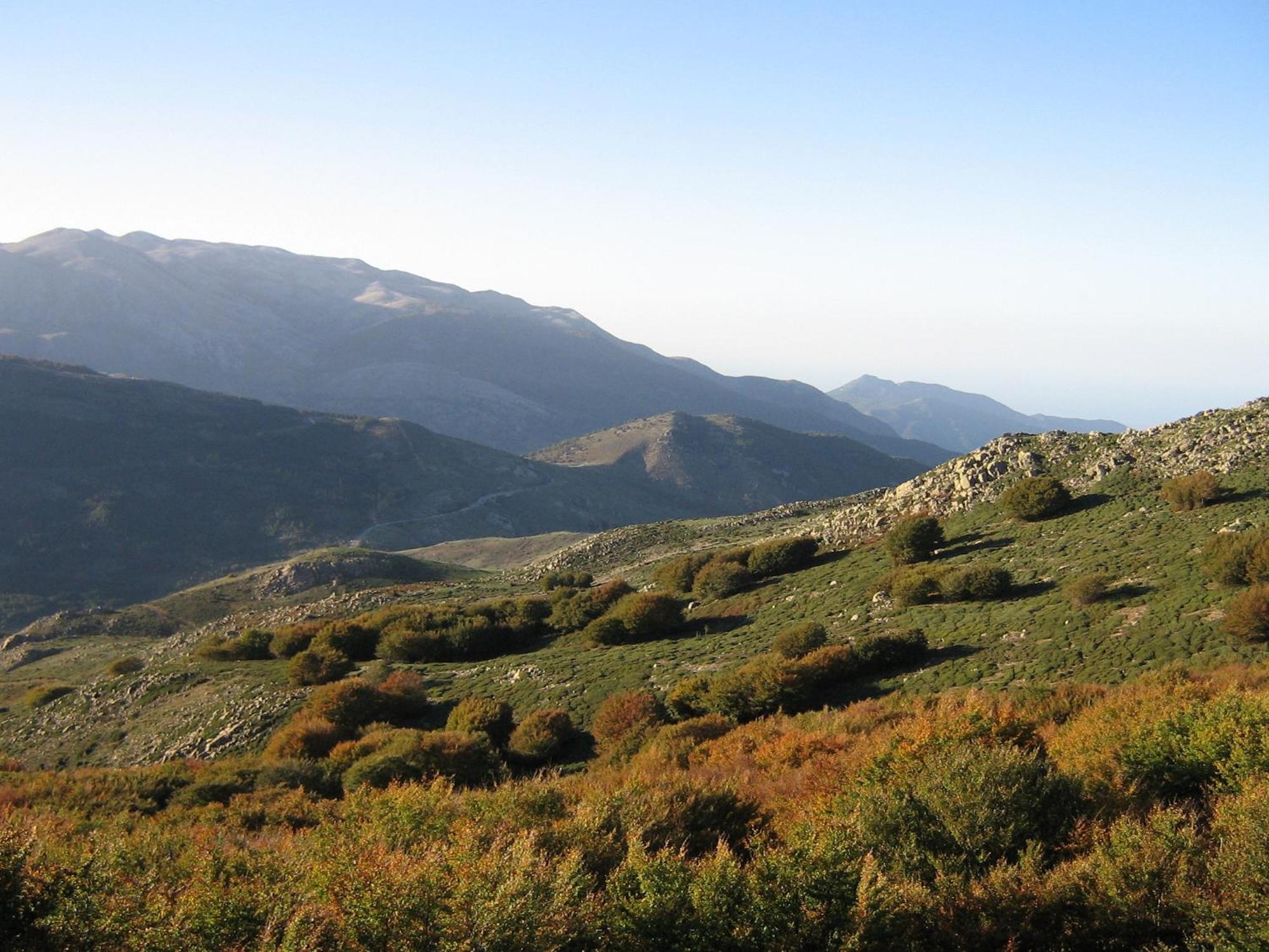 Il Castello Bed and Breakfast Petralia Sottana Εξωτερικό φωτογραφία