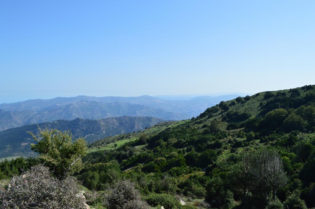 Il Castello Bed and Breakfast Petralia Sottana Εξωτερικό φωτογραφία