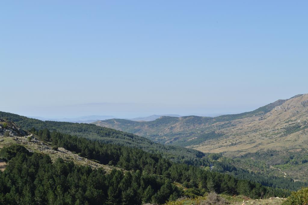 Il Castello Bed and Breakfast Petralia Sottana Εξωτερικό φωτογραφία